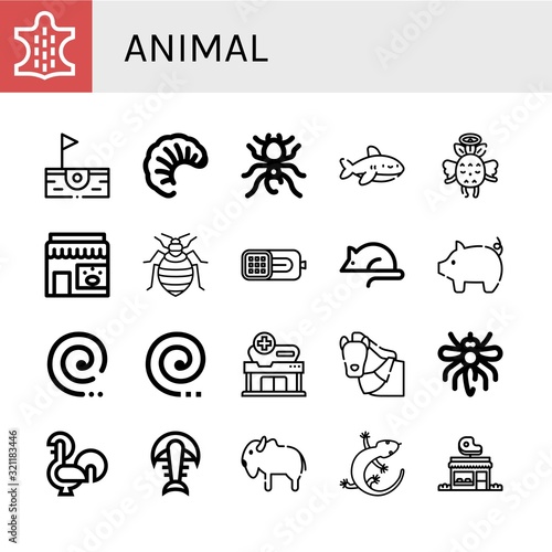Set of animal icons