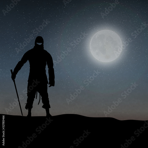 A Japanese Ninja Under The Moonlight