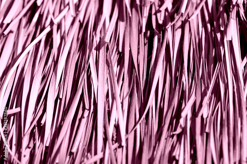 Fototapeta premium Roof covered with dry palm leaves close-up. Tropical background pink color toned