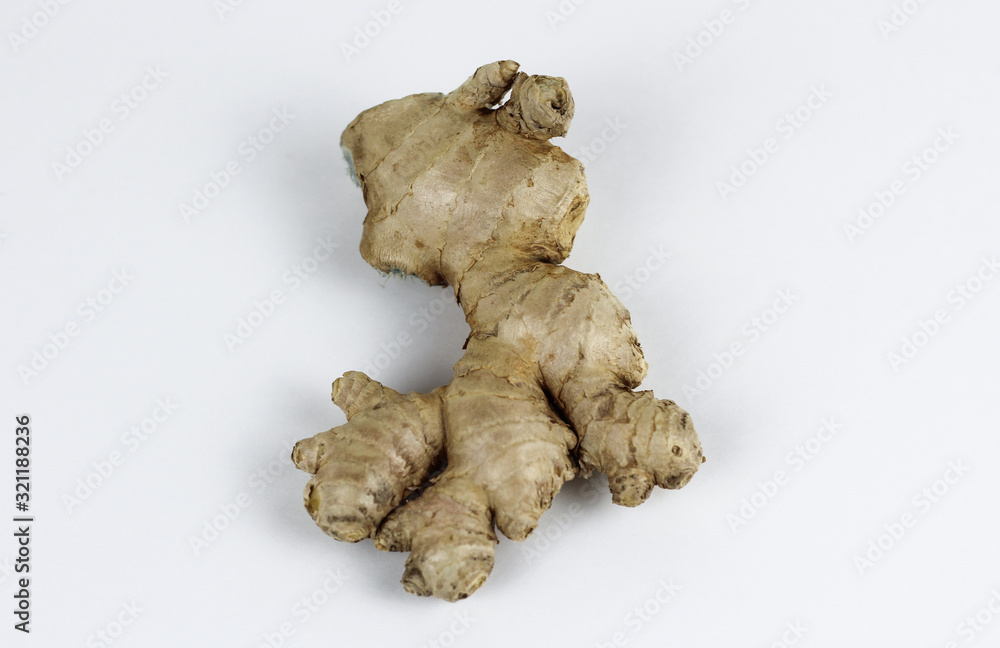 ginger root isolated on a white background ginger root isolated on a white background