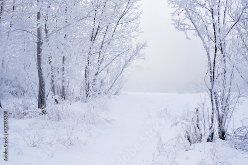 Winter landscape in the forest