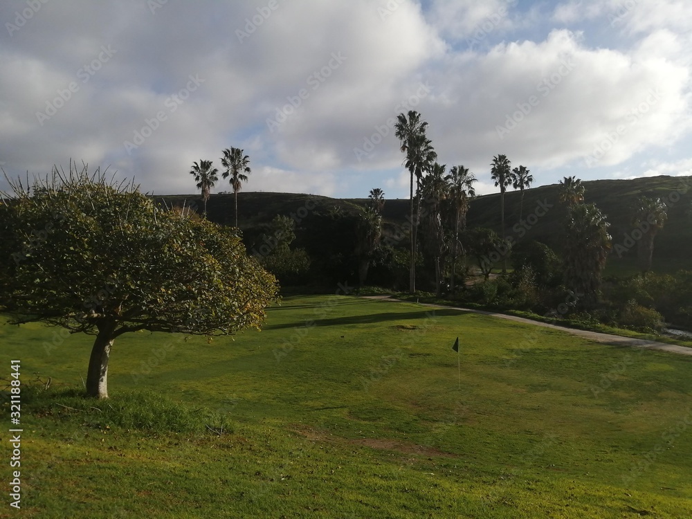 cielo nubes campo pasto arboles campo de golf