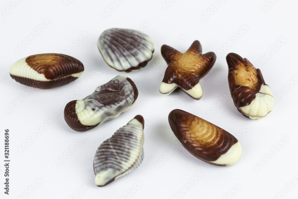 beautifully Chocolate seashells isolated on white background