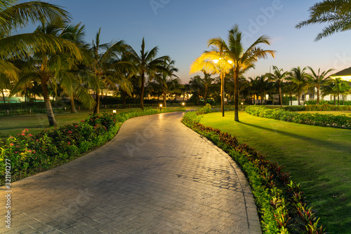 Road in resort park at night with palm trees on background