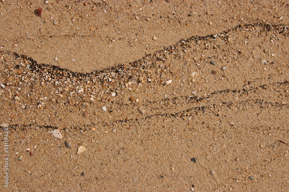 sand fossil shell on the beach, Texture lines of sand on the beach sand fossil shell on the beach, Texture lines of sand on the beach