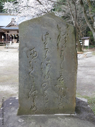 山桜が背後に咲く櫻川磯部稲村神社の紀貫之歌碑　Sakuragawa Isobe Inamura Shrine photo