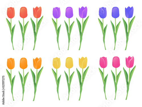 カラフル　チューリップ　複数　イラスト