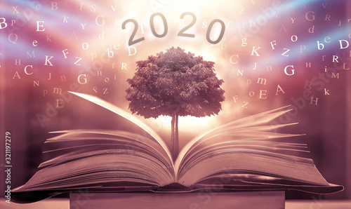 The concept of education by planting a tree of knowledge in the opening of an old book in the library and the magical magic of light that flies to the destination of success. Beautiful background © Ping198