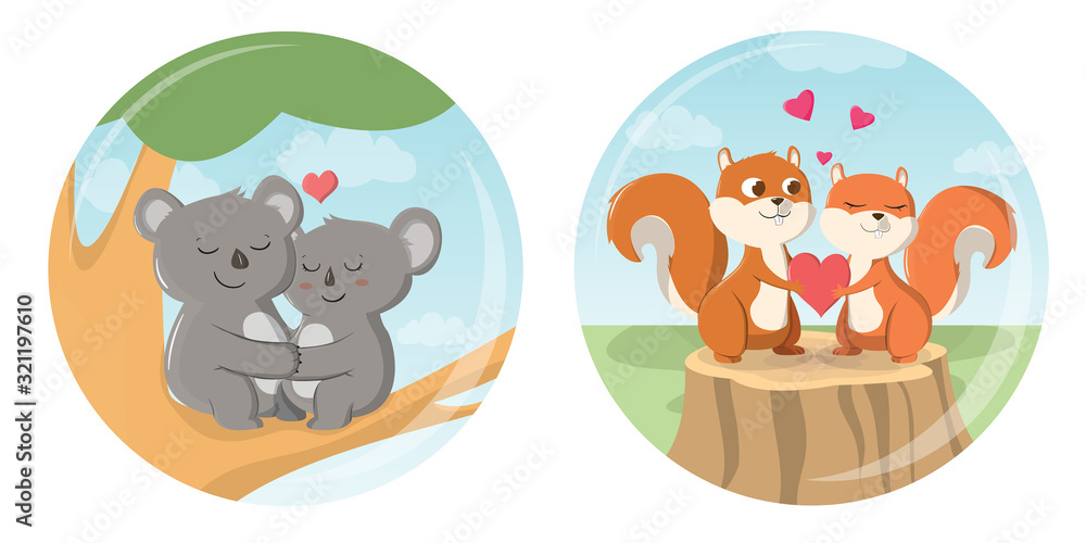 couple koala and couple squirrel couple koala and couple squirrel