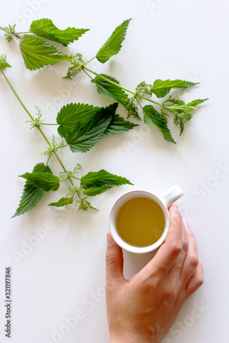 A cup of nettle tea on a wooden table, with fresh stinging nettles in the background. Medicinal plant. The concept of healthy nutrition.