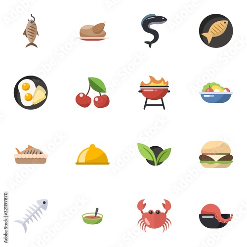 16 food flat icons set isolated on white background. Icons set with smoked fish, chicken, eel, breakfast, cherry, BBQ Grill, baked fish, main dish, Fish, Salad, bone icons.