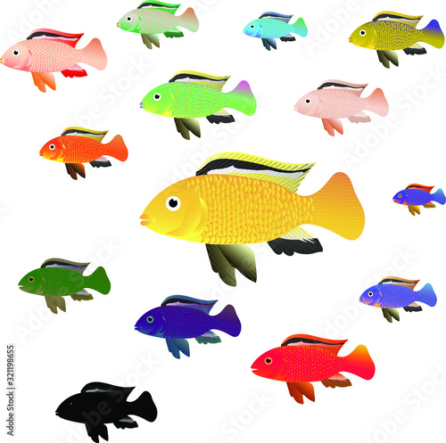 set of identical colored sea fish. the prototype is a bright yellow fish..  isolated vector illustration.