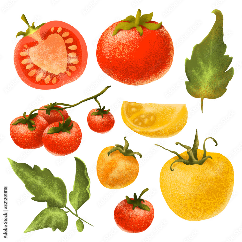 Set of tomatoes. Illustration with vegetables on the theme of agriculture and gardening.