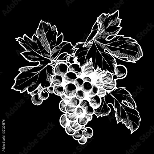 Grapes cluster with leaves. Linear drawing. Chalk on a blackboard. EPS10 vector illustration