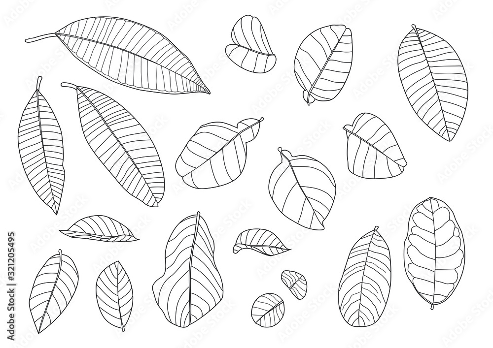 Leaves line single leaf and leaf pattern black Bring to color decorate on white background illustration  vector