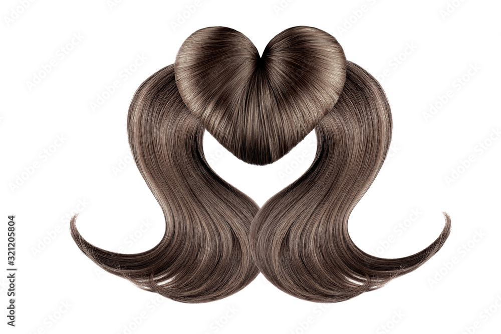 Brown hair in shape of heart on white, isolated. Doughnut bun Brown hair in shape of heart on white, isolated. Doughnut bun