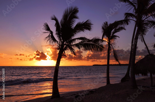 Fototapeta Naklejka Na Ścianę i Meble -  Palms on sunset on the beach