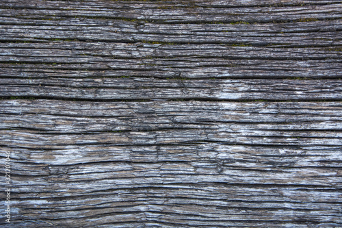 Old wood cracked texture