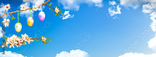 Easter banner, colored egs on flowering almond branch, blue sky background