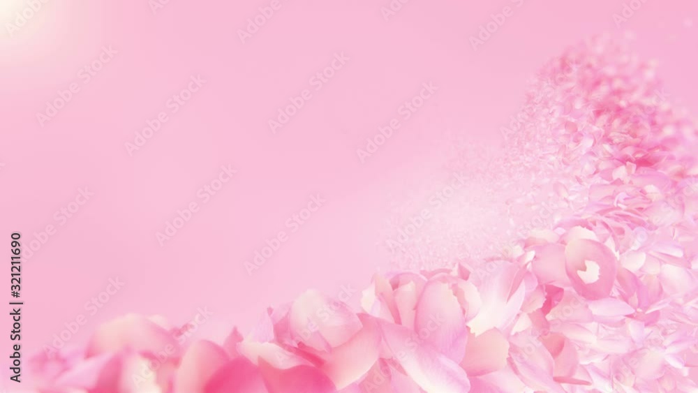Pink Rose Petals flowing background in 4K Pink Rose Petals flowing background in 4K