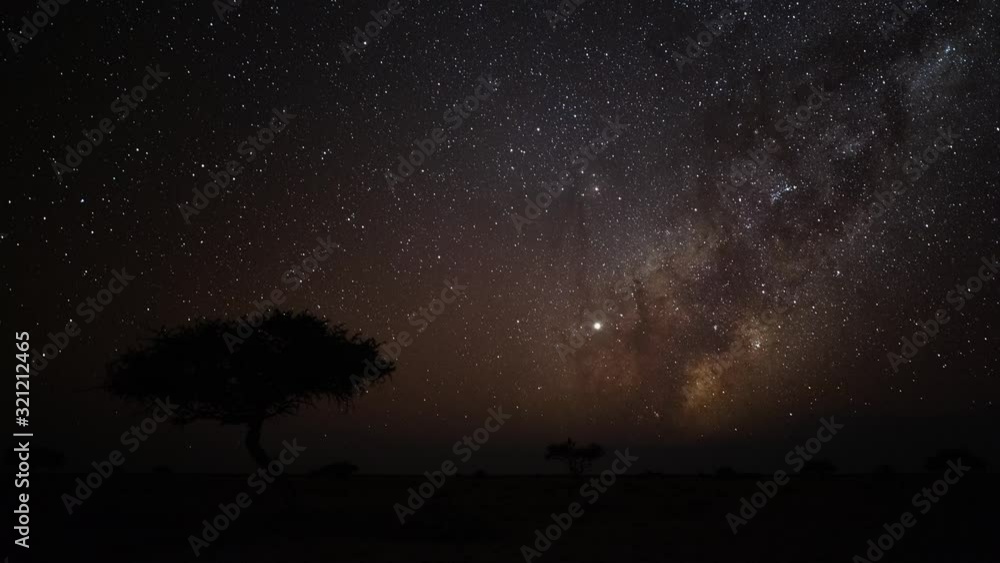 Astro timelapse of an Acacia tree silhouetted against the African night sky with the Milky Way rising in the Southern Hemisphere followed by moon rising over a wide barren/arid landscape.