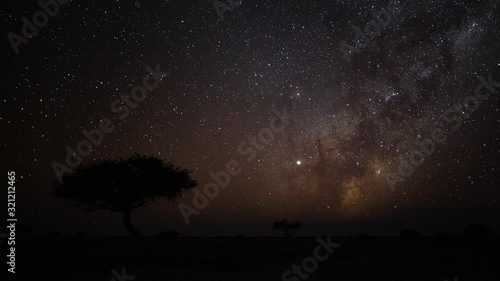 Astro timelapse of an Acacia tree silhouetted against the African night sky with the Milky Way rising in the Southern Hemisphere followed by moon rising over a wide barren/arid landscape.