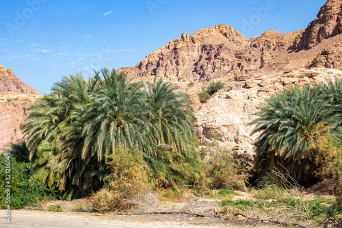 dana biosphere reserve national parks jordan photo