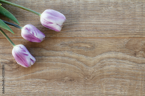 Lilac tulip flowers on the wooden background.