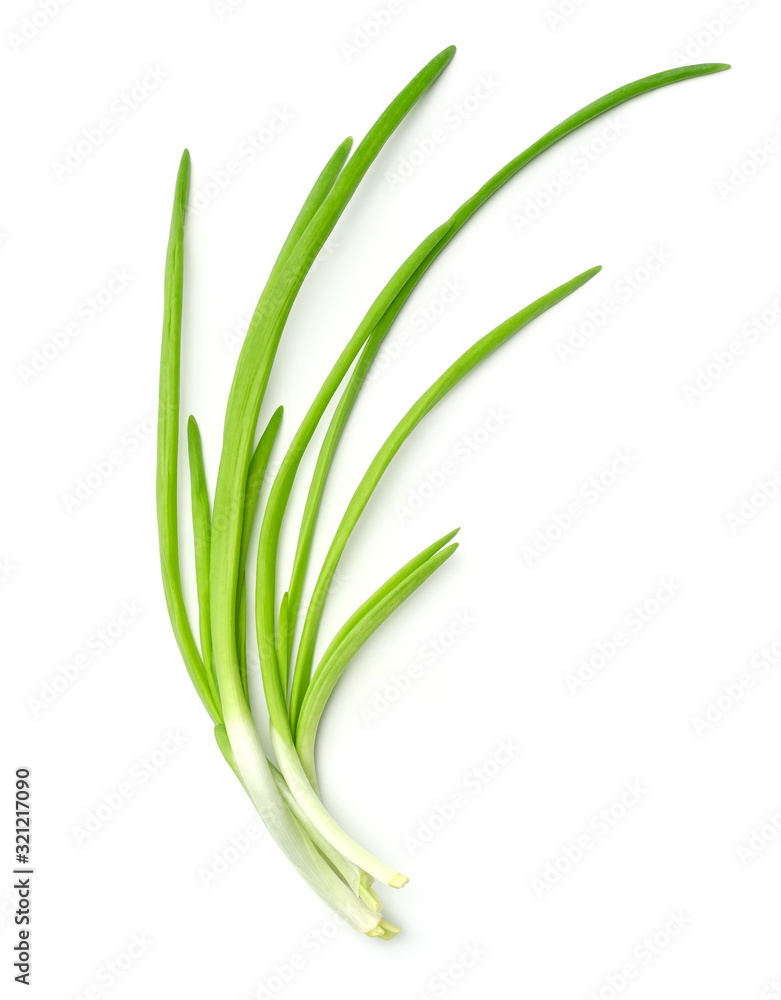 Fresh green onions isolated on white background Fresh green onions isolated on white background