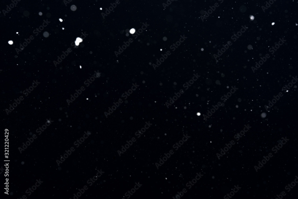 Obraz premium snow on a black background. snow texture