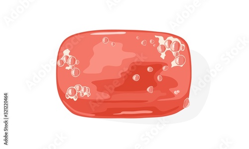 Light red plastic closed soap dish, box or holder with foam bubbles on surface. Bathroom, washroom, lavatory accessory, Personal hygiene, skin body care product. Vector cartoon illustration n white.