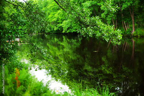 Green trees on the Bank are reflected in the river