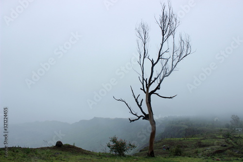 Bild auf Leinwand Landscape, Kaas plateau, Satara, Maharashtra