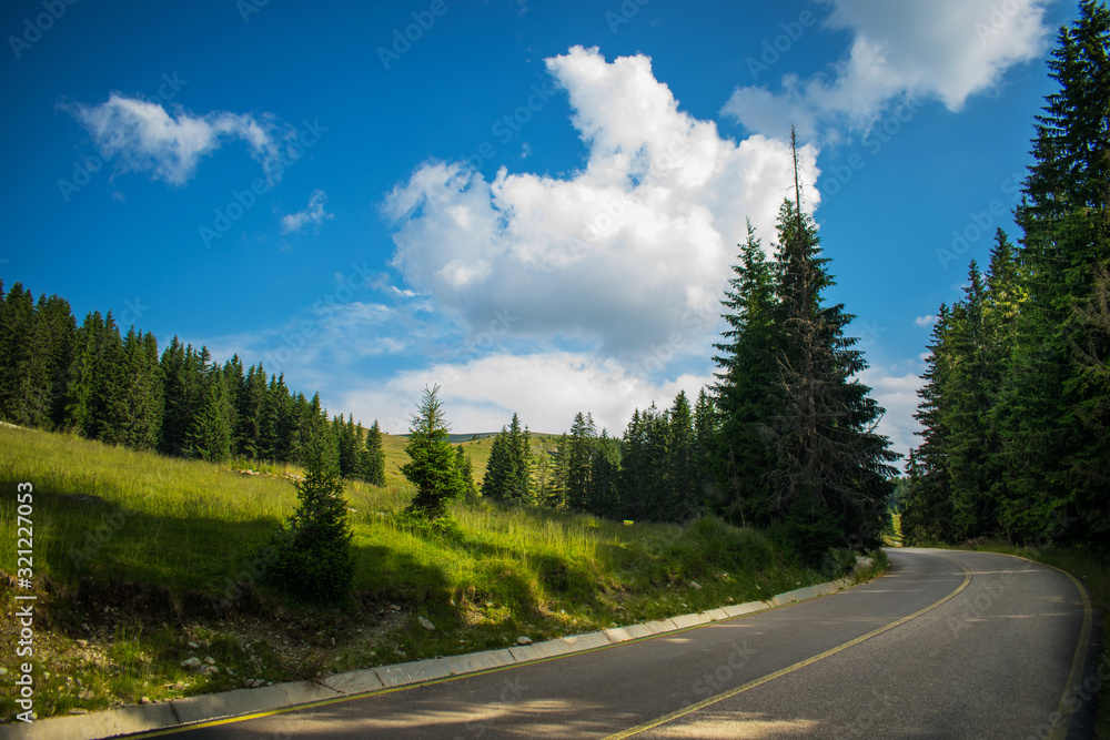 a wonderful mountain road. A beautiful landscape with lots of greenery, tall pines on the side of the road and a blue sky with white, fluffy clouds. A wonderful walk, in a dream landscape.