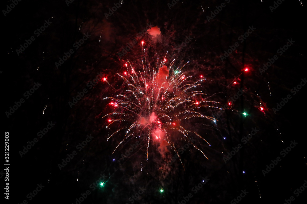 Beautiful new years firework celebration in black evening sky.