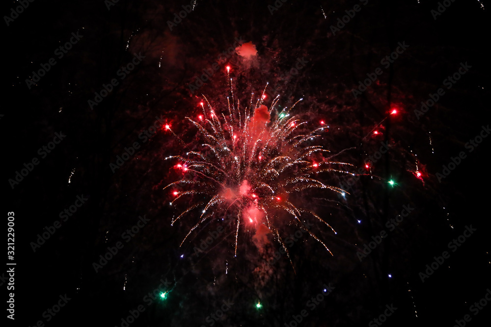 Fototapeta premium Beautiful new years firework celebration in black evening sky.