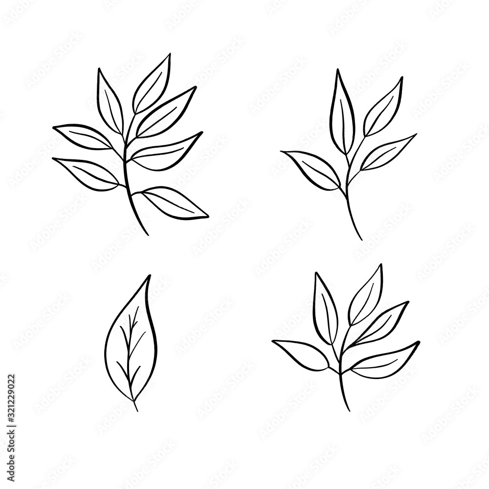 Naklejka premium Scetch hand drawn leaves vector.
