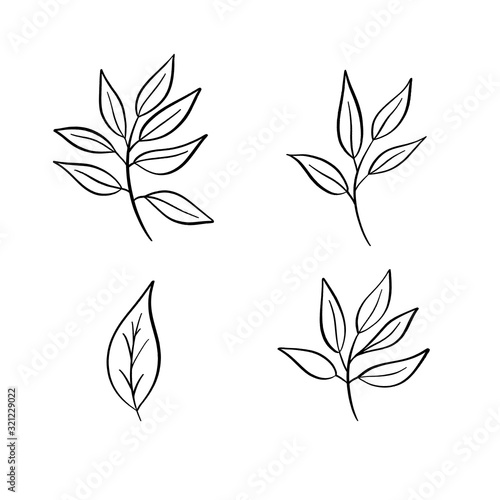 Scetch hand drawn  leaves vector.