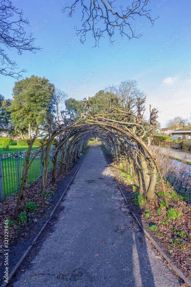 A scenic view of a naked vegetal arch along a path with canal and trees in the background under a majestic blue sky