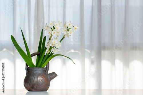 Cuadro en lienzo 室内に飾られた白花スイセン