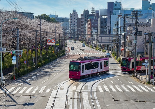 東京の路面電車「都電荒川線」(東京さくらトラム) photo