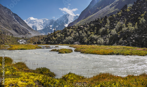 Mountain landscape, the foot of Belukha, Altai. White waters of the glacial river, snow-capped peaks.