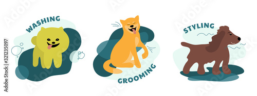 Set of dog care service icons. Concept for pet grooming, styling, washing salon. Isolated vector illustrations with happy puppies of spitz, shiba inu, spaniel. Design of domestic animals for pet shop.