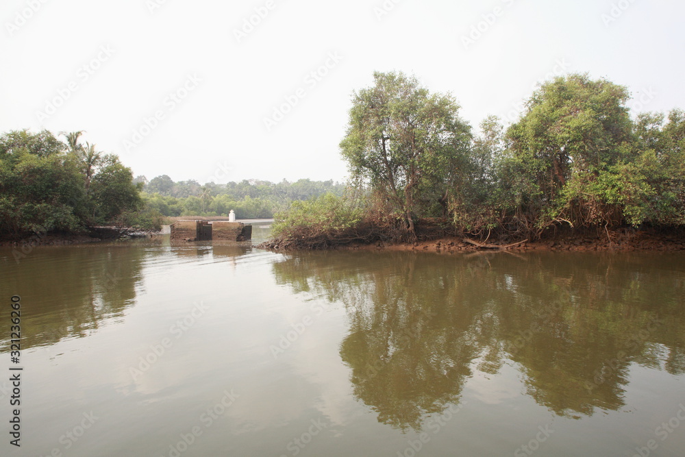 Obraz premium Mangroves and age old bund walls