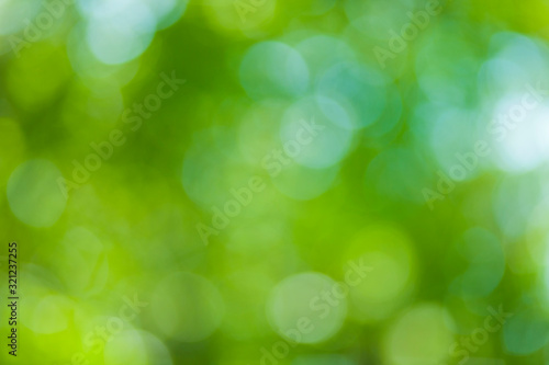 green nature blur bokeh background