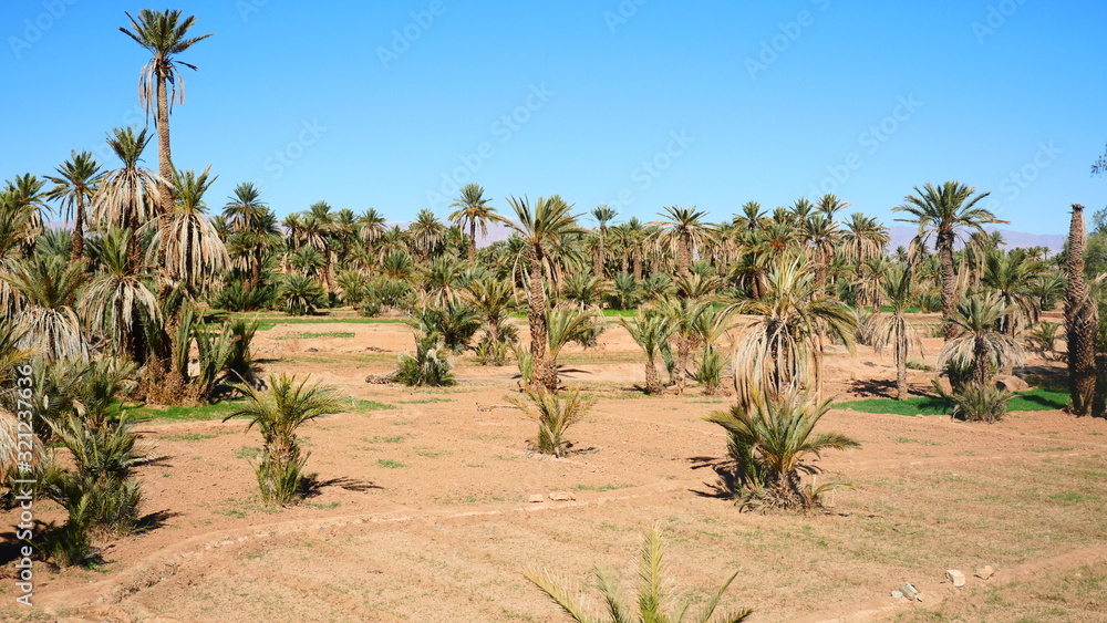 Bright landscape of Morocco, breathtaking curves of mountains, stunning combination of hills & farm land,inadvertent distribution of houses & huts, raw impression of pure nature. Bright landscape of Morocco, breathtaking curves of mountains, stunning combination of hills & farm land,inadvertent distribution of houses & huts, raw impression of pure nature.