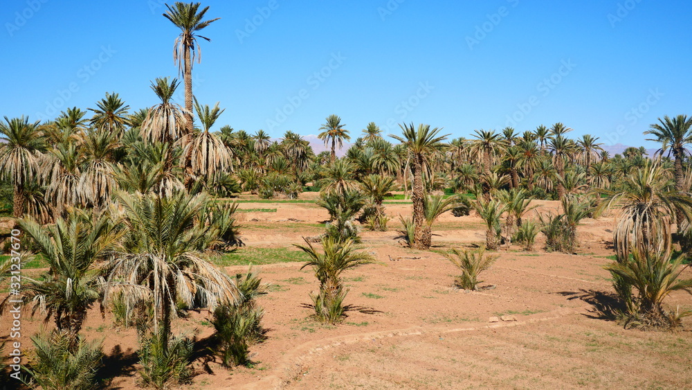 Bright landscape of Morocco, breathtaking curves of mountains, stunning combination of hills & farm land,inadvertent distribution of houses & huts, raw impression of pure nature. Bright landscape of Morocco, breathtaking curves of mountains, stunning combination of hills & farm land,inadvertent distribution of houses & huts, raw impression of pure nature.