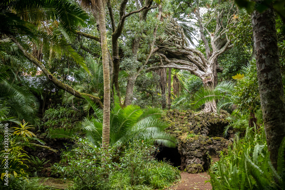 Fototapeta premium Jardim António Borges w Ponta Delgada, Azoren