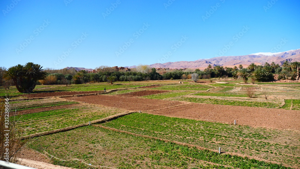 Bright landscape of Morocco, breathtaking curves of mountains, stunning combination of hills & farm land,inadvertent distribution of houses & huts, raw impression of pure nature.