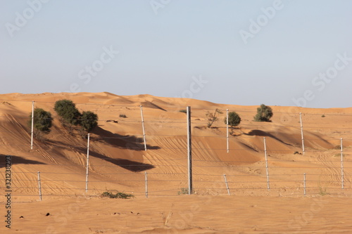 sand dune in desert